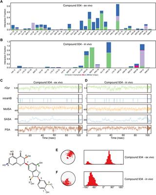 Discovery of an 8-oxoguanine regulator PCBP1 inhibitor by virtual screening and its synergistic effects with ROS-modulating agents in pancreatic cancer
